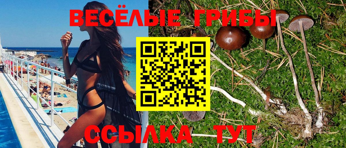 Галлюциногенные грибы ЛСД  Вход с VPN  Кунгур  Псилоцибиновые грибы мухоморы 